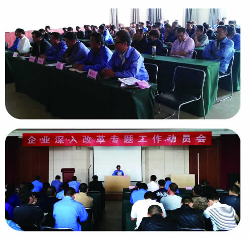 1486358982704328.jpg 01.jpg